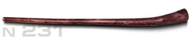 #231