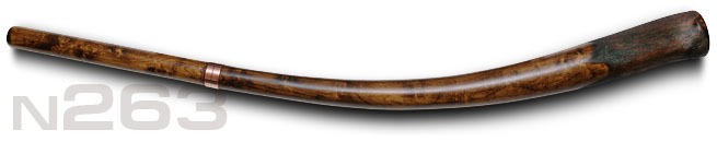 Didgeridoo