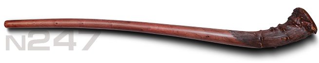 Didgeridoo