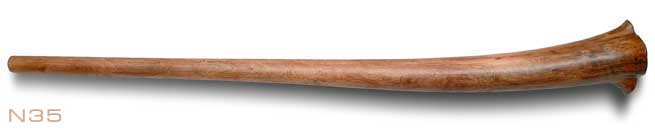 Didgeridoo