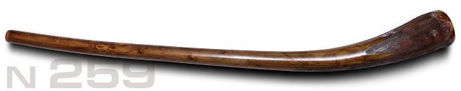 Didgeridoo